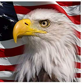 Fundraising Page: Eagles #3208 Team